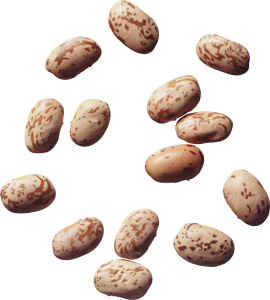 Kidney beans PNG-56910